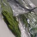 6FT Artificial Norfolk Pine Trees, Real Touch Faux Cedar Topiary Slim Christmas Tree Large Indoor Outdoor Fake Evergreen Plants for Outdoor & Indoor Use Holiday Christmas Decor