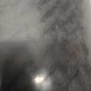 NEWCOSPLAY Super Soft Twin Blanket Black Premium Silky Flannel Fleece Leaves Pattern Lightweight Bed Blanket All Season Use, Black, Twin, 60"x80"