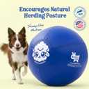 Race&Herd 22" Original XXL Herding Ball for Dogs - Herding Toys, Giant Dog Ball for Australian Shepherds, Border Collies - Durable Dog Outdoor Training Toy for Small & Medium Breeds (Blue)