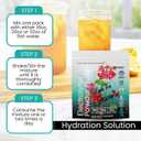 2 x PowderVitamin Electrolytes Powder Plus (20 Servings) Black Tea Ginseng Electrolyte Powder Keto, Sugar Free, Pink Himalayan Salt,1000mg Potassium,120mg Calcium,120mg Magnesium, Hydration Powder