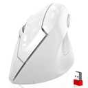 memzuoix Ergonomic Wireless Mouse, 2.4G Optical Cordless, 800/1200/1600 DPI, Vertical Computer Mouse for Laptop, Mac, PC, Desktop (Right Hand, Large) - White