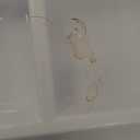 Citylife 17 QT Plastic Storage Box with Removable Tray Craft Organizers and Storage Clear Storage Container for Organizing Bead, Tool, Sewing, Playdoh