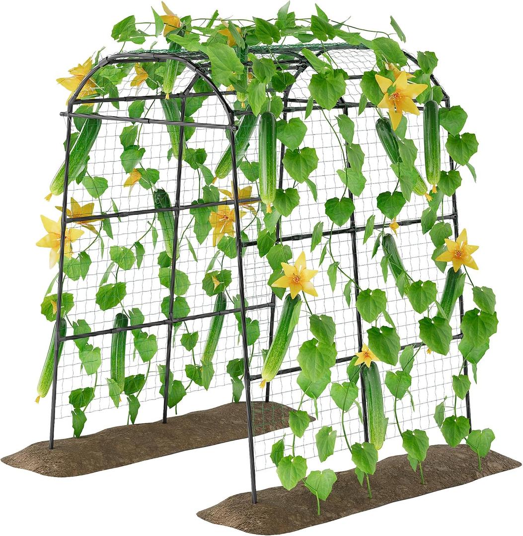 Miory Garden Arch Trellis for Climbing Plants Outdoor, 7ft Tall Plants Support Trellis for Climbing Vine Tomato Vegetable Flower Fruit, Cucumber Trellis for Raised Bed (71 x 83 Inch)