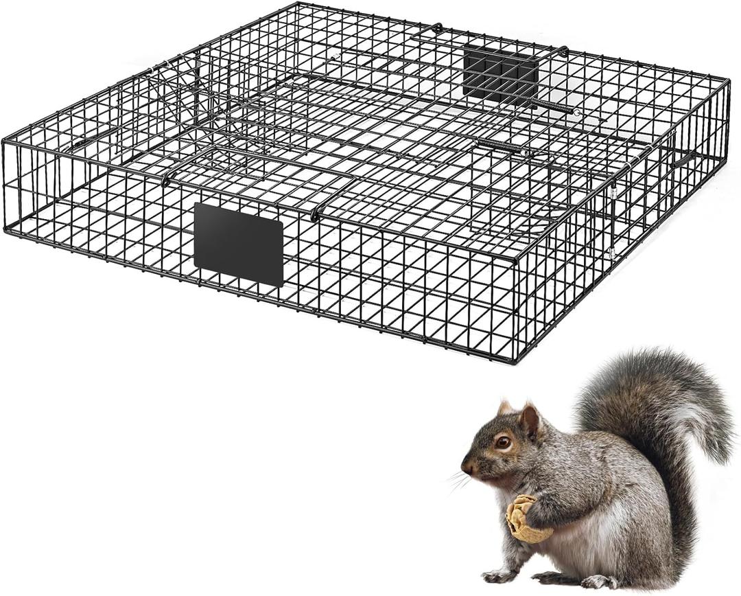 Squirrel Trap (No Bottom Tray) - Ideal for Chipmunks and Squirrels, Metal Construction, Holds up to 25 Squirrels