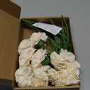 ICBOX Champagne Carnation Artificial Flowers 15pcs Fake Carnation Champagne Silk Flowers with Stems for Home Decor Wedding Bridal Bouquet Anniversary Birthday Floral Arrangements (Champagne