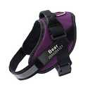 HOTGOL Custom No Pull Dog Harness with Personalize Name and Phone Number Tag,Reflective Breathable Adjustable Pet Vest for Small to Large Dogs
