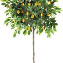 HEOMU 6FT Faux Lemon Tree with Vivid Leaves and Realistic Lemons, Fake Lemon Tree with Pot, Artificial Trees for Indoor Outdoor Front Porch Living Room Office Home Decor