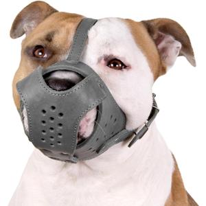 CollarDirect Dog Muzzle Pitbull Amstaff Basket Genuine Leather Staffordshire Terrier (Grey)