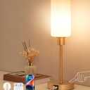 EDISHINE 19" Glass Table Lamp with Touch Control, Modern Bedside Lamp, 3-Stage Dimmable & USB-A+Type-C Charging Ports, Nightstand Lamp for Living Room, Bedroom (Gold)