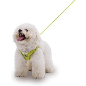 Adjustable Dog Harness with Leash, Reflective Mesh, No-Pull DesignMatching Lead Rope (Lemon Yellow, M)