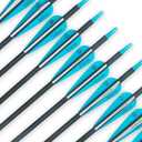 TIGER ARCHERY 30Inch Carbon Arrow Practice Hunting Arrows with Removable Tips for Compound & Recurve Bow(Pack of 12)
