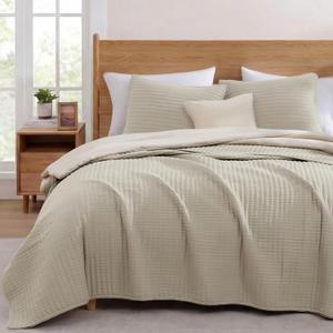 WRENSONGE Queen Quilt-3 Pieces Neutral Lightweight Bedspreads Light Oatmeal Queen Size Quilt Bedding Set for All Seasons, Soft Summer Coverlet with 2 Pillow Shams Suitable for Bed & Couch