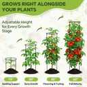 60 Inch Round Tomato Cages for Garden - 2 Pack Heavy Duty Metal Tomato Trellis Plant Support, Adjustable Height & Stackable, Easy Assembly for Outdoor Climbing Plants