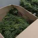 SHareconn 2 Pack 9FT Artificial Christmas Cedar Garland Decoration, Realistic Faux Cypress Greenery Garland for Winter Mantle Table Stairs Railing Fireplace Holiday Indoor Outdoor Decor, 9 FT