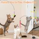 Atosun Interactive Cat Toys, 15PCS Cat Wand and Feather Toys for Indoor Cats, Reusable Suction Cup Toys for Kittens Play Exercise