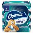 Charmin Flushable Wipes, 160 Total Wipes (4 Packs of 40)