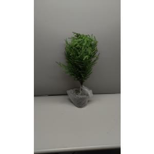 5FT Artificial Topiary Trees for Outdoor Front Porch Dcor, Real Touch Norfolk Pine Tree, UV Rated Fake Potted Plants for Indoor and Outdoor Use