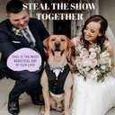 AVERYDAY Dog Tuxedo for Wedding Outfit, Dog Suit and Tie Costumes for Birthday, Halloween, Cosplay, Christmas Party, Pet Formal Wear with Bowtie, Tux forDogs, Bulldog, Labrador, Husky  Black Tux+Silver Tie, M (Chest 20.5-27.6 in)