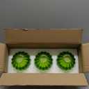 Glass Green Tulip Lamp Shades, Small Flower Lampshades,Replacement Mini Lamp Shade for Floor Lamp Table Wall Lamp Chandelier Decor (Green-3)