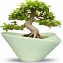 Ceramic Bonsai Pots - Large Succulent Planter 13 Inch Plant Pot Indoor Succulent Pot with Drainage Hole Outdoor Planter Bonsai Tree Pot for House Home Garden Office Decor Green