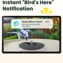 Birdfy Smart Bird Bath with Camera Solar Powered & Fountain, Dual-Lens Camera for Wildbird Watching, Auto Capture Bird Videos & Motion Detection - AI by Subscription (Yellowstone)