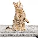 Self Heating Cat Pad Self Warming Cat Bed 22" x 17" Thermal Cat Mat Extra Warm Pet Mat for Outdoor and Indoor Large Kittens Small Puppy Pets