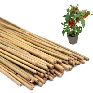50PCS Plant Stakes,Natural Bamboo Stakes,Garden Stakes for Indoor and Outdoor Plants,POLIUMB Poles Sticks for Tomatoes,Beans,Flowers,Trees Potted and Climbing Plants-18 inches