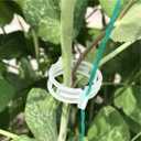 Piteno 300Pcs Tomato Clips, Plastic Trellis Clips, Plant Support Clips, Grape Vine Tomato Vine Vegetables Plants Garden Support Clips to Grow Upright Makes Plants Healthier (Translucent)