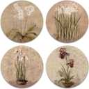CoasterStone Subtle Flowers Absorbent Coasters, 4-1/4-Inch, Set of 4
