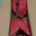 Briful 10’’ Large Heads Christmas Glitter Magnolia Flowers Christmas Tree Ornaments Set of 3 Artificial Flowers with Picks Stems for Xmas Tree Holiday Decorations, Burgundy