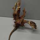 majoywoo Natural Large Driftwood for Aquarium Decor Reptile Decor 13-17" Long, Over 1.3 lbs