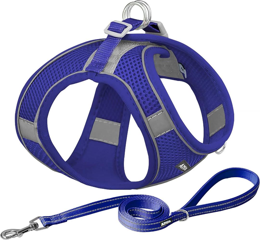 AIITLE Comfortable Dog Harness and Leash Set for Walking - Step in Vest Harness,Reflective Bands, Adjustable No Pull Puppy Essentials, for Small Dogs and House Cats Royal Blue XS (XS(Chest: 11.5 - 13.5"))