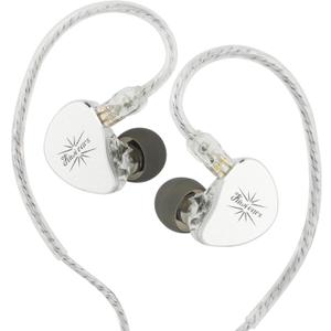 Kiwi Ears Belle in-Ear Monitor, 10mm DLC Diaphragm Driver Earphone, HiFi Wired Earbuds with Detachable Silver-Plated 2-Pin Cable for Audiophile Gaming (Type-c Mic, Silver)