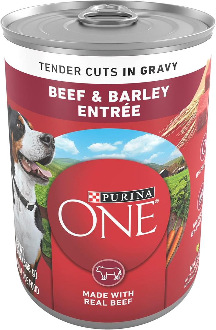 Purina ONE Natural Wet Dog Food Gravy, Tender Cuts in Gravy Beef and Barley Entre - 13 Ounce (Pack of 12) (EXP 09/30/27)