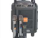 SP916 Trolley Portable Speaker 3-in-1 Design with Dual Microphones, TWS Connectivity and 50 FM Points for Super Sound Optimization