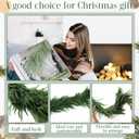 2Pcs 9Ft Scented Christmas Norfolk Pine Garland Real Touch Winter Fir Scent Artificial Pine Garlands Deluxe Norfolk Cedar Garland for Holiday Indoor Table Fireplace Wall Mantle Stair Home Decor
