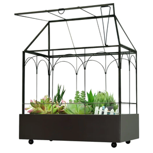 Large Tall Glass Plant Terrarium – House Succulent Terrarium Kit with Lip and Tray Glass Greenhouse Terrarium for Plant 9.5”X5.7”X11.4”