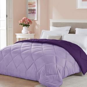 Seward Park Twin XL Size Light Purple Comforter Plum Lavender Reversible Lightweight Girls Cooling Bedding College Dorm Bedspread All Season Summer Blanket