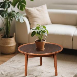 24 Round Coffee Table, Solid Oak Frame & Veneer Top, USA Grown Hardwood, Modern Living Room, Lounge Side Table (Single Large Piece)