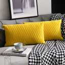 DEZENE Mustard Yellow Couch Pillow Covers: 2 Pack 12x20 Inch Original Striped Velvet Rectangular Throw Pillow Cases for Farmhouse Home Decor