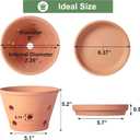 8 inch Terracotta Orchid Pots with Holes and Saucers, 2 Pack Clay Orchid Planter Pots for Repotting, Large Terra Cotta Orchid Pot, Plant Flower Pots for Orchid Indoor Outdoor Promotes Air Circulation
