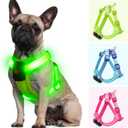 Light Up Dog Harness for Small Dogs Rechargeable, LED Dog Vest Harness, Adjustable Illuminated Glow in Dark Dog Harness for Puppy Night Safety Walking 360 True Illumination-Green