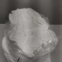 Premium 100% Cotton Hand Towels  Pack of 24, 16x27 Inch  Quick-Dry, Highly Absorbent Salon Towels for Hair Care, Gym, Spa & Bathroom  White