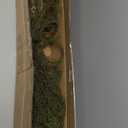 63Inch Realistic Bendable Curly Weeping Willow Branches Tree Vine Swags Wood Twigs Crafts Moss Greenery Garland Creepy Jungle Vines for Halloween Wall Hanging Outdoor Mantel Ceiling Swing Decoration