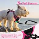 rabbitgoo Dog Harness No Pull with 2 Leash Clips, Adjustable Soft Padded, Reflective Oxford No Choke Pet Vest with Easy Control Handle for Large Dogs, Black & Hot Pink, XS