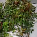 AUSTOR Packs 45" Artificial Ficus Stems Faux Green Stems Branches Leaf Stem Fake Green Bushes Shrubs Ficus Twig Stem for Vase Filler Home Wedding Office Decor, Pack Of 4