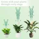 12 Pack Stackable Plant Trellis for Potted Plants, Garden Trellis Supports Peas, Ivy & Flowering Vines, Plastic Climbing Plant Support (Green)