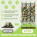 Jesosia Garden Trellis for Climbing Plants Outdoor - 65" PE-Coated Metal Pipes & Plastic Grids Rose Wall Trellis Frame - Sturdy Privacy Screen Plant Support Fence for Flowers Vines Vegetables