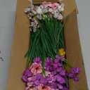 24 Bundles Artificial Flowers for Outdoor Indoor Garden Home Decoration, Plastic Flowers Decoration,Artificial Plants for Indoor Outside Garden Home Wedding Farmhouse (Mix 6 Color)