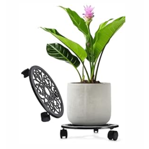 2WAYZ Plant Stand with Wheels - Heavy-Duty Rolling Plant Caddy - Dolly Base with Roller for Large Potted Plants and Flower Pot - Ideal for Indoor and Outdoor Planters - Set of 1 - Black